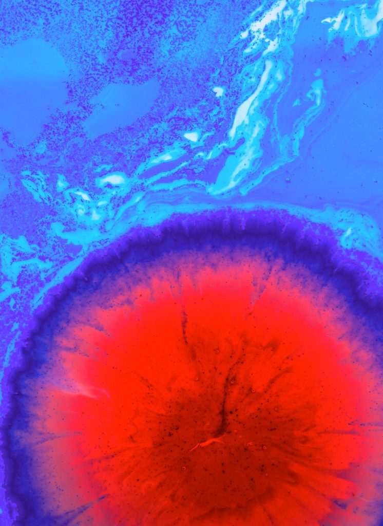 Zuperla Premium WordPress Themes